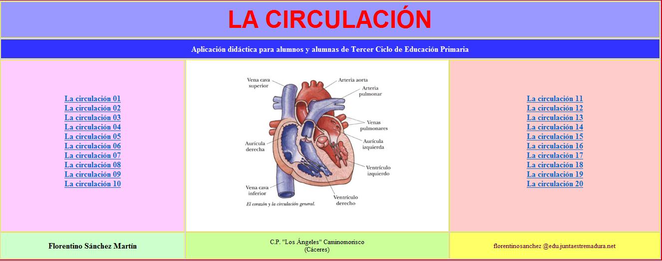 La circulación | Recurso educativo 34784