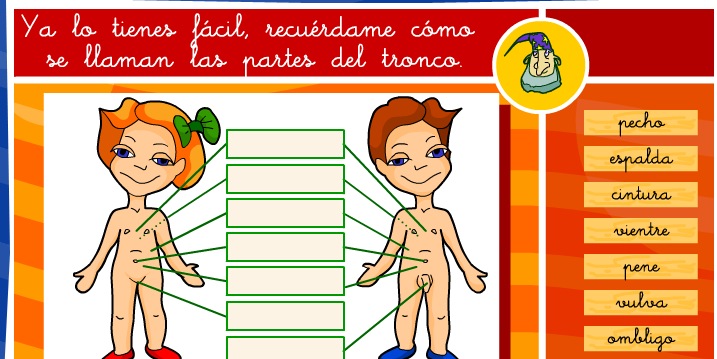 Las partes del cuerpo | Recurso educativo 35562