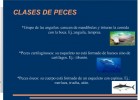 Los peces | Recurso educativo 36434