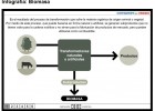 Energía a partir de la biomasa | Recurso educativo 41531