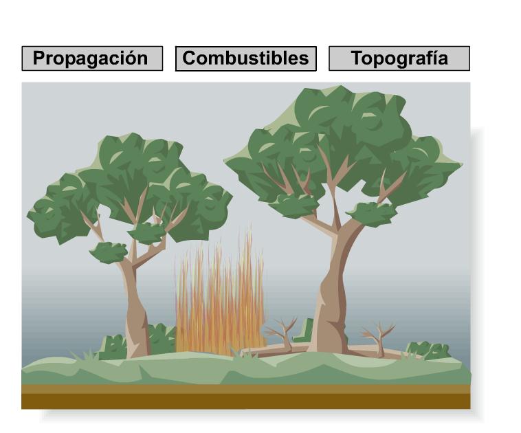 Incendios Forestales | Recurso educativo 43187