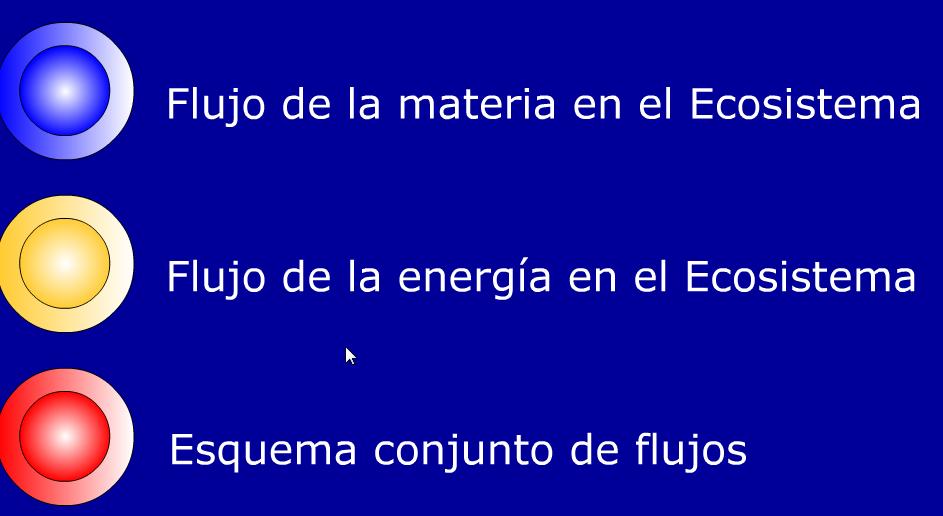 Flujos de la materia y la energia en el ecosistema | Recurso educativo 43707