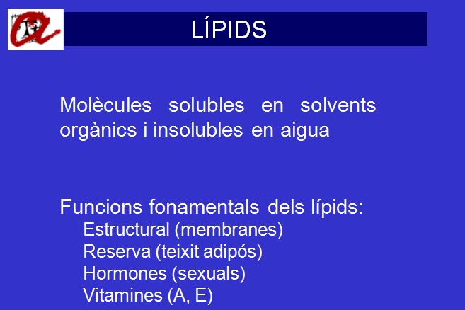 Els lípids | Recurso educativo 46621