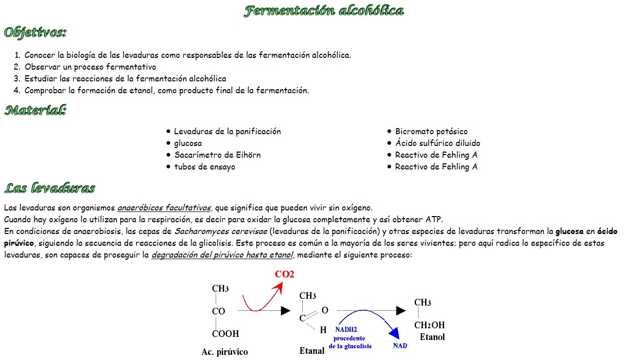 La fermentació alcohòlica | Recurso educativo 47287