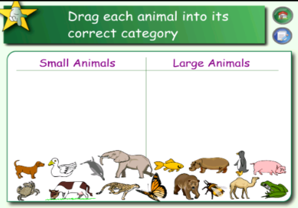 Categorizing objects | Recurso educativo 47304