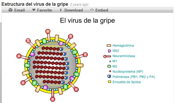 El virus de la grip | Recurso educativo 47675