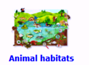 Animal habitats | Recurso educativo 48269