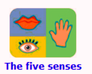 The five senses | Recurso educativo 48622