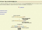 Elementos transponibles | Recurso educativo 49538