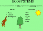 Ecosystems | Recurso educativo 50512