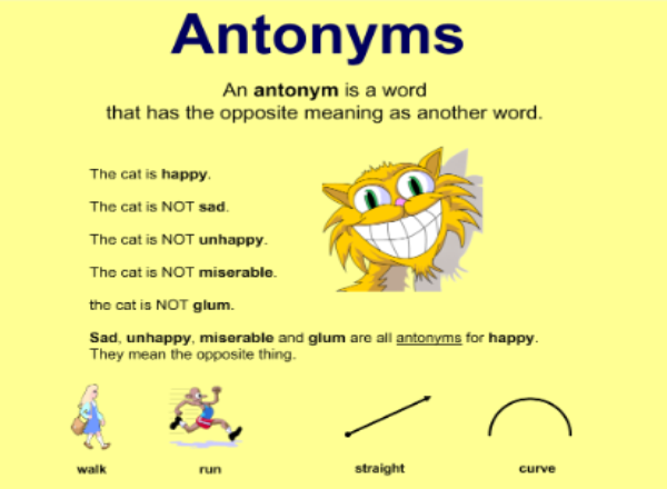 Synonyms and antonyms | Recurso educativo 50545