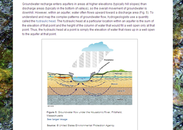 Ecology lab: Water resources | Recurso educativo 50758