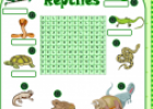 Reptiles | Recurso educativo 61856