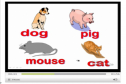 Video: What's your favourite animal? | Recurso educativo 11784