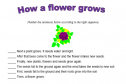 How a flower grows | Recurso educativo 13057