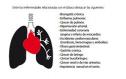 Texto: guía sobre los riesgos del consumo de drogas | Recurso educativo 13400