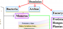 Clasificación biológica | Recurso educativo 13905