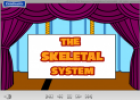 The Skeletal System | Recurso educativo 17639