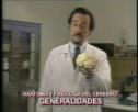 Cerebro: anatomía y fisiología | Recurso educativo 18213