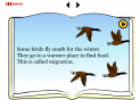 Animals in winter | Recurso educativo 18395