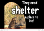 Song: The needs of an animal | Recurso educativo 24916