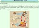 El ciclo menstrual | Recurso educativo 28599