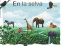 En la selva ¿cómo se llama ese animal? | Recurso educativo 3042