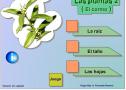 Las plantas | Recurso educativo 31666