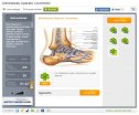 Adivinanza: Aparato Locomotor | Recurso educativo 64659