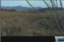 The Sonoran desert | Recurso educativo 70084