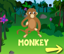 Jungle flashcards | Recurso educativo 71609