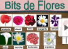 Bits Inteligencia: Las flores | Recurso educativo 78202