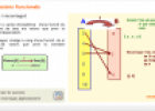 Relacions funcionals: Domini i recorregut | Recurso educativo 83092