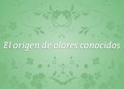 El origen de los olores conocidos | Recurso educativo 93167