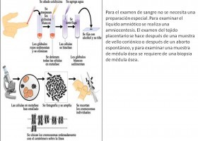 José Mnzano Andrés Chaparro.jpg | Recurso educativo 97893