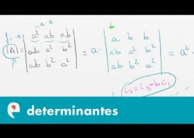 Determinantes (ejercicio 2) | Recurso educativo 109467