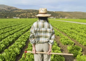 Papá, quiero ser agricultor | Recurso educativo 117352