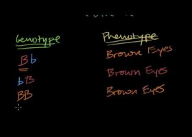 Introduction to heredity | Recurso educativo 117482