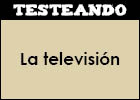 La televisión | Recurso educativo 351681