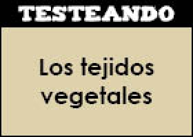 Los tejidos vegetales | Recurso educativo 351748