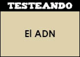 El ADN | Recurso educativo 352359