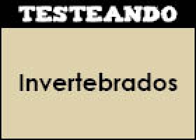 Invertebrados | Recurso educativo 352536