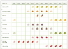 Tabla informativa de frutas de temporada | Recurso educativo 628532