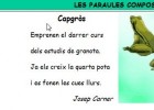 Paraules compostes | Recurso educativo 733192