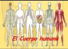 LOS 11 SISTEMAS DEL CUERPO HUMANO | Recurso educativo 734731