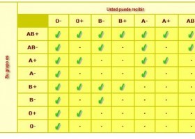 Conoce tu grupo sanguíneo | Recurso educativo 735866