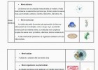 Niveis de organización do corpo humano (A organización do corpo) | Recurso educativo 737547