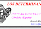 zonaClic - activitats - Los determinantes | Recurso educativo 740636