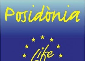 Projecte LIFE Posidònia | Recurso educativo 740707