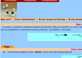 Amines | Recurso educativo 741877